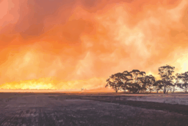 Golden Plains Shire fire danger period