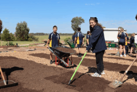 Sustainable school garden
