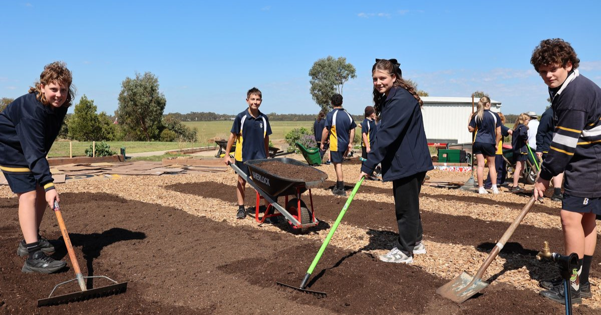 Sustainable school garden