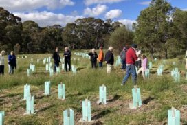 Landcare collaboration