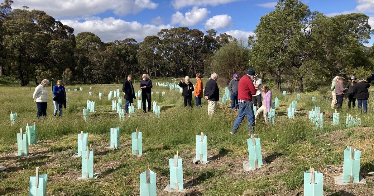 Landcare collaboration