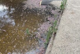 Moorabool River flow stress
