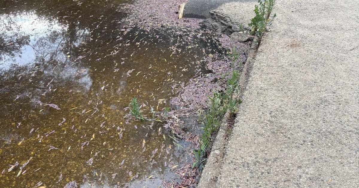 Moorabool River flow stress