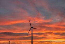 Tall Tree Wind Farm