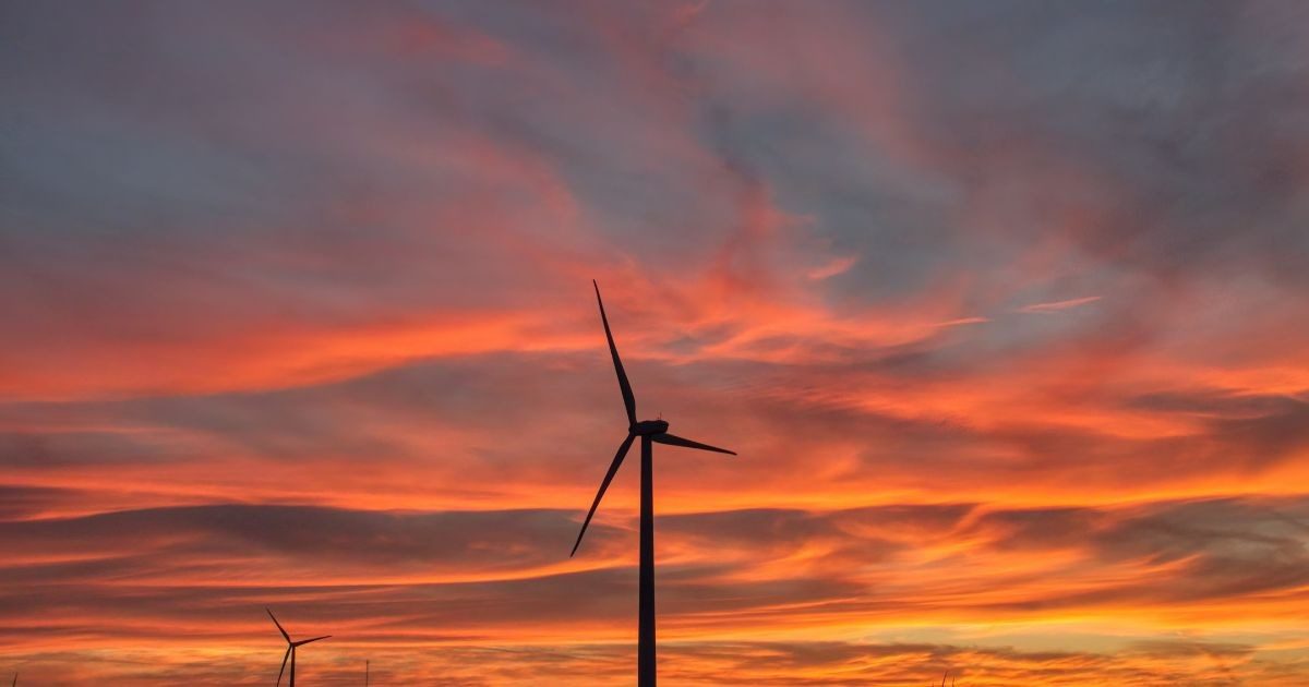 Tall Tree Wind Farm