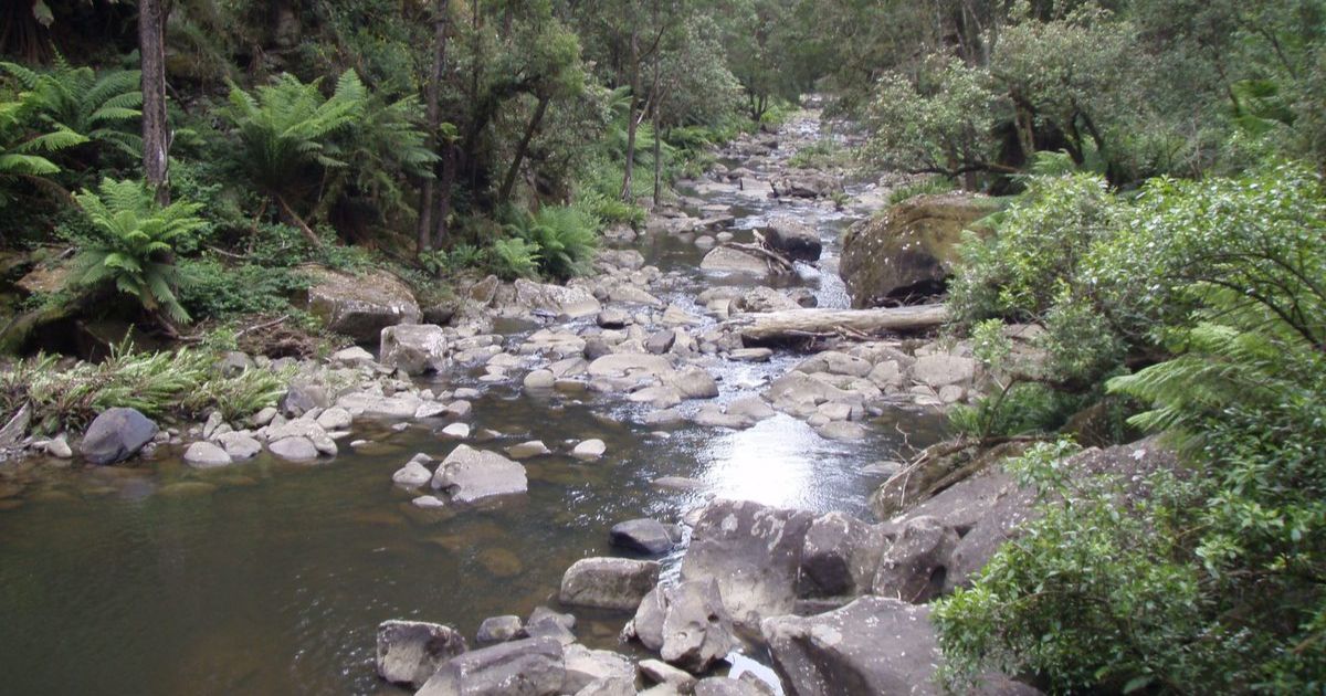 Western Region Water Strategy