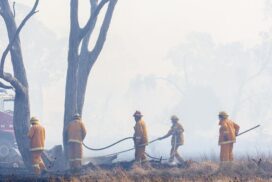 Golden Plains emergency committee