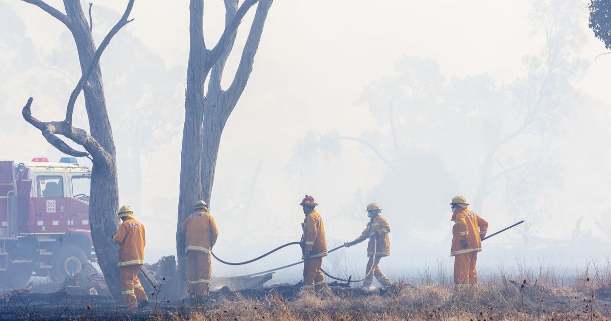Golden Plains emergency committee