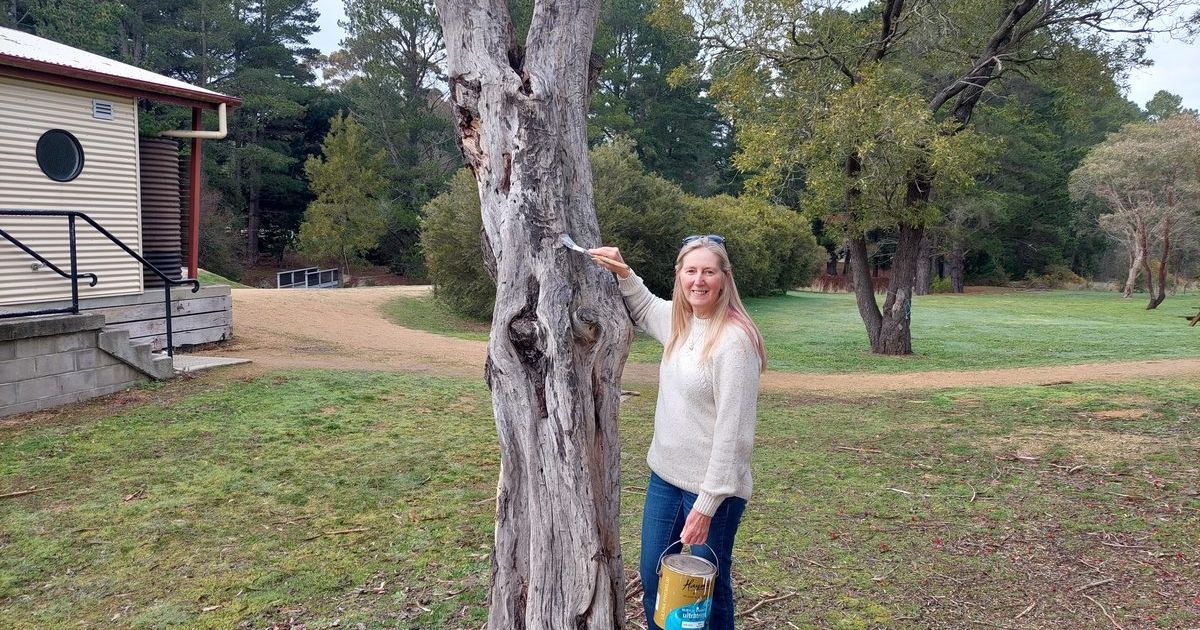 Linton Blue Tree Project