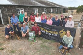 Working Dog Training
