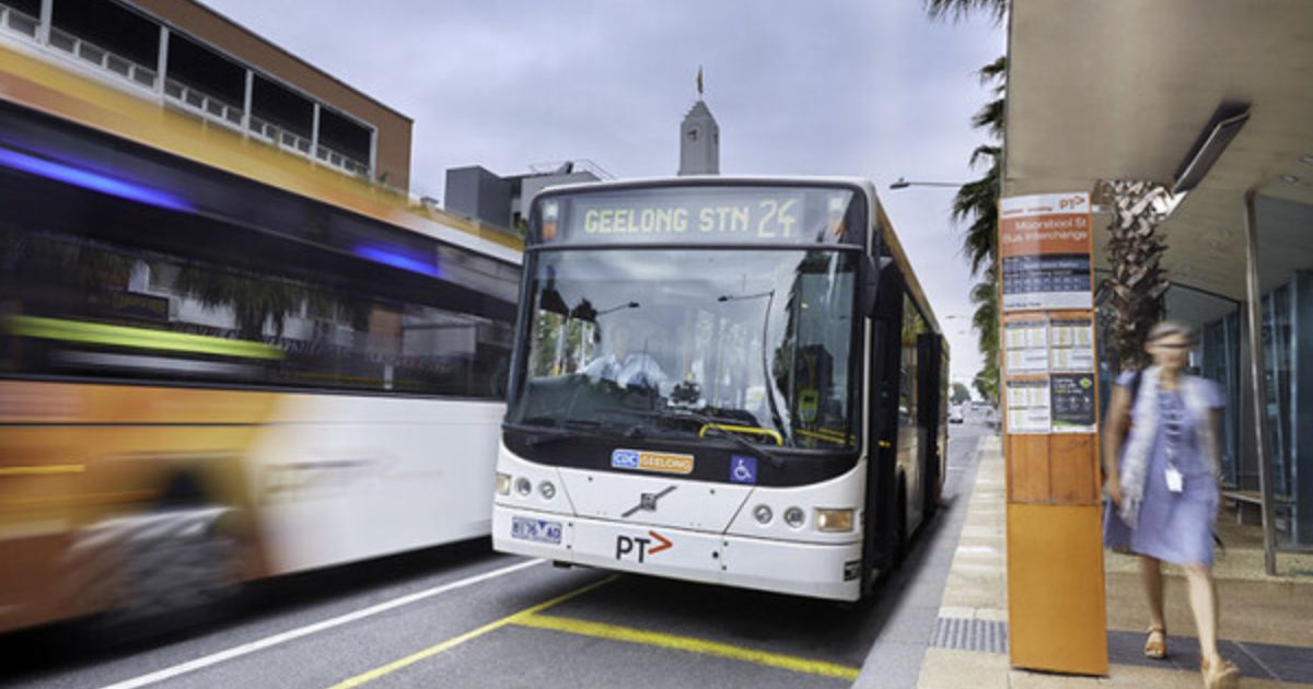 Geelong bus network