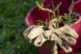Landcare Grants Victoria