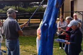 Linton Blue Tree Project