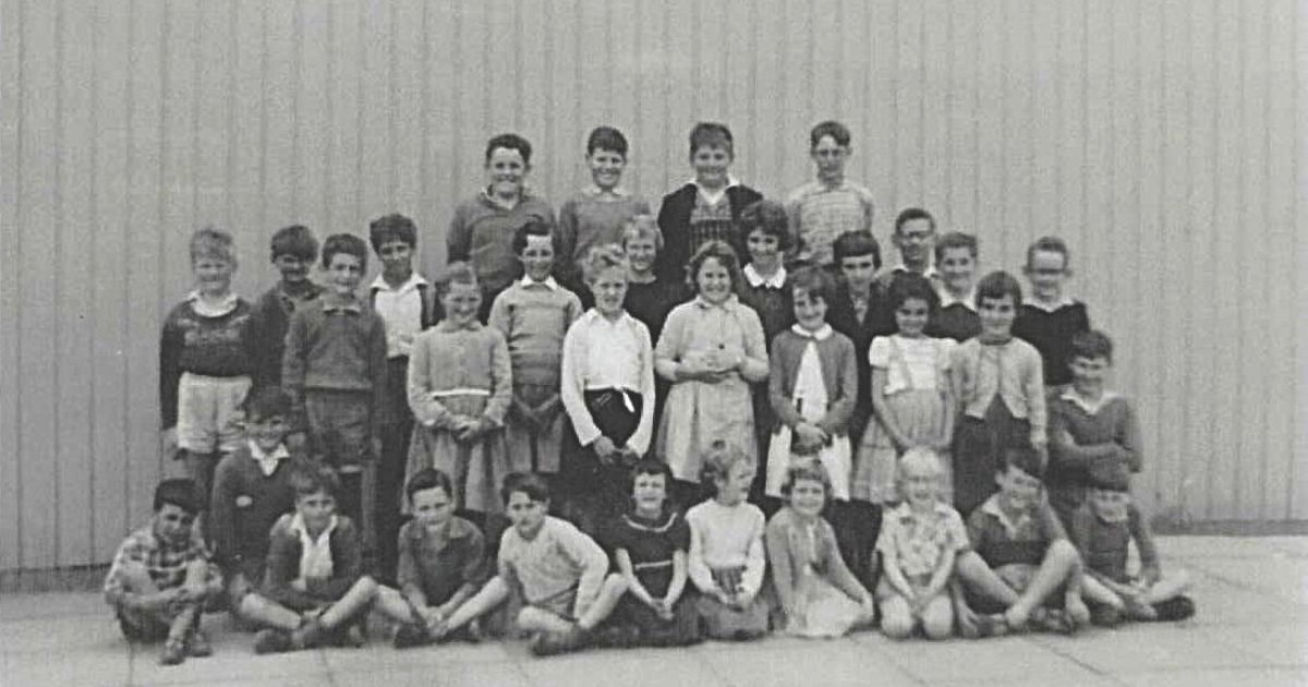 Shelford West Primary Reunion