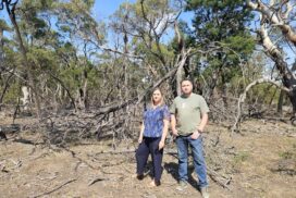 Inverleigh Reserve fire safety