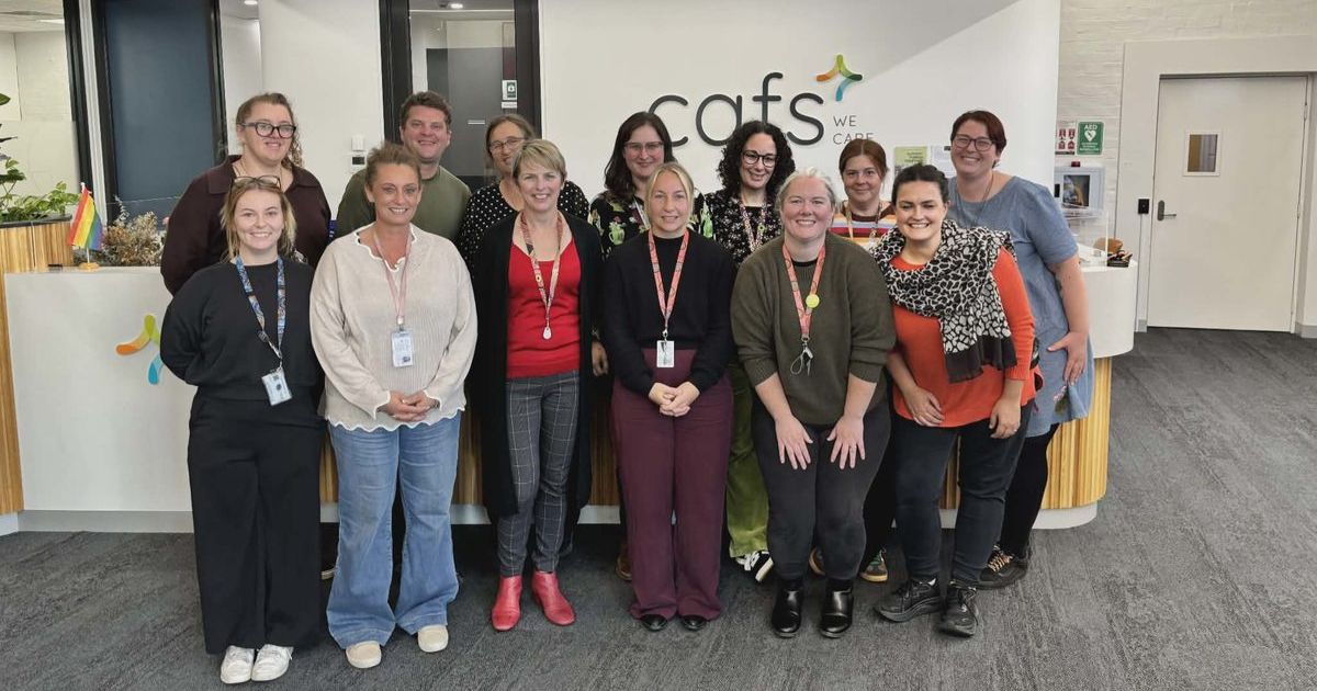 Diverse Family Support Services