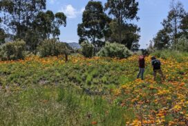 Sustainable land management