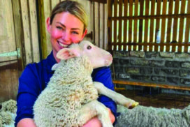 Hobby farmer sheep welfare