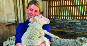 Hobby farmer sheep welfare