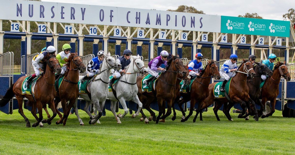Ladbrokes Bendigo racing partnership