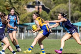 CVFL Preliminary Final