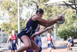 BFNL netball finals