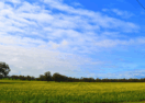 Bendigo farming advisory
