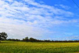 Bendigo farming advisory