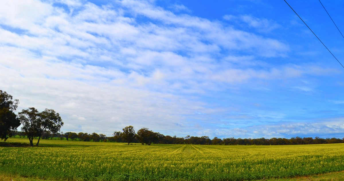 Bendigo farming advisory