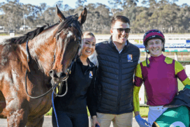 Fieldelo Horse of the Year