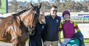 Fieldelo Horse of the Year