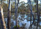 Bendigo bushland visitor hub