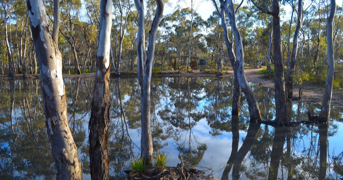Bendigo bushland visitor hub