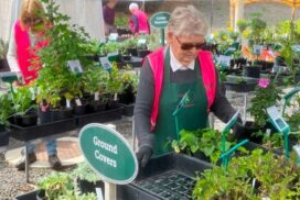 Bendigo Botanic Gardens events