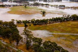 Bendigo flood and waterways community workshops 2025