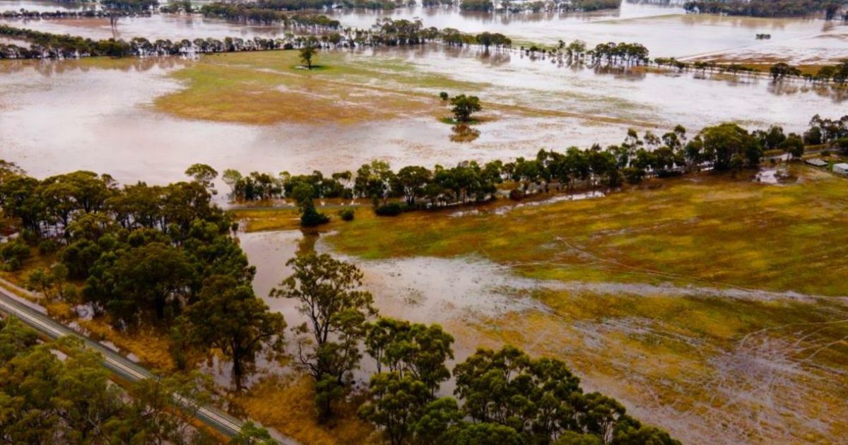 Bendigo flood and waterways community workshops 2025