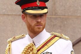 Prince Harry critique