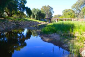 Djimbayang Lar Bendigo