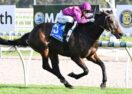 El Salto Racing Comeback