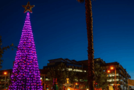 Bendigo Christmas Tree