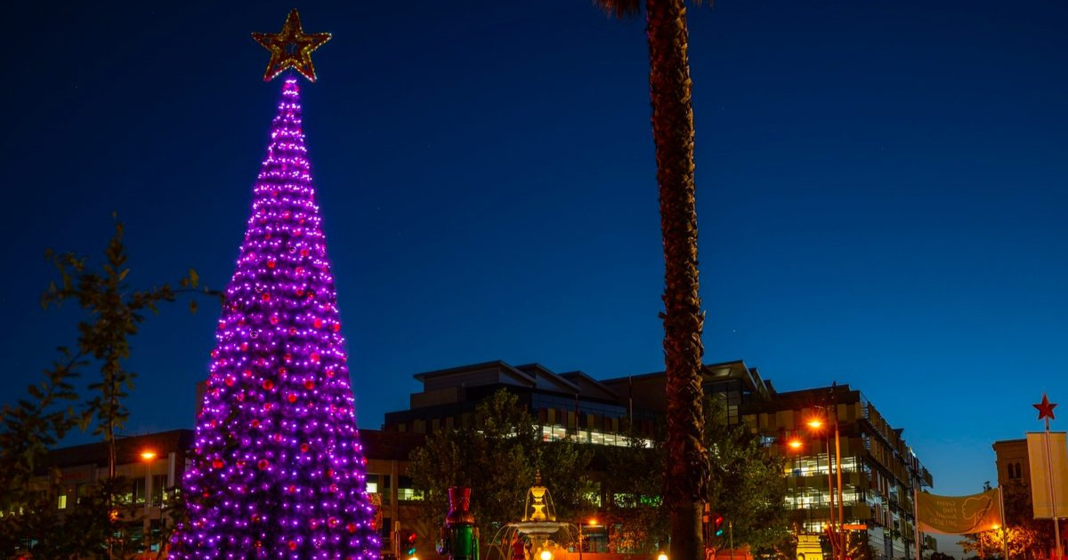Bendigo Christmas Tree
