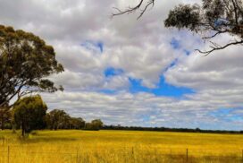 Bendigo Industrial Land Plan 2025