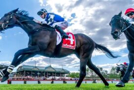 Bendigo Racecourse Upgrade