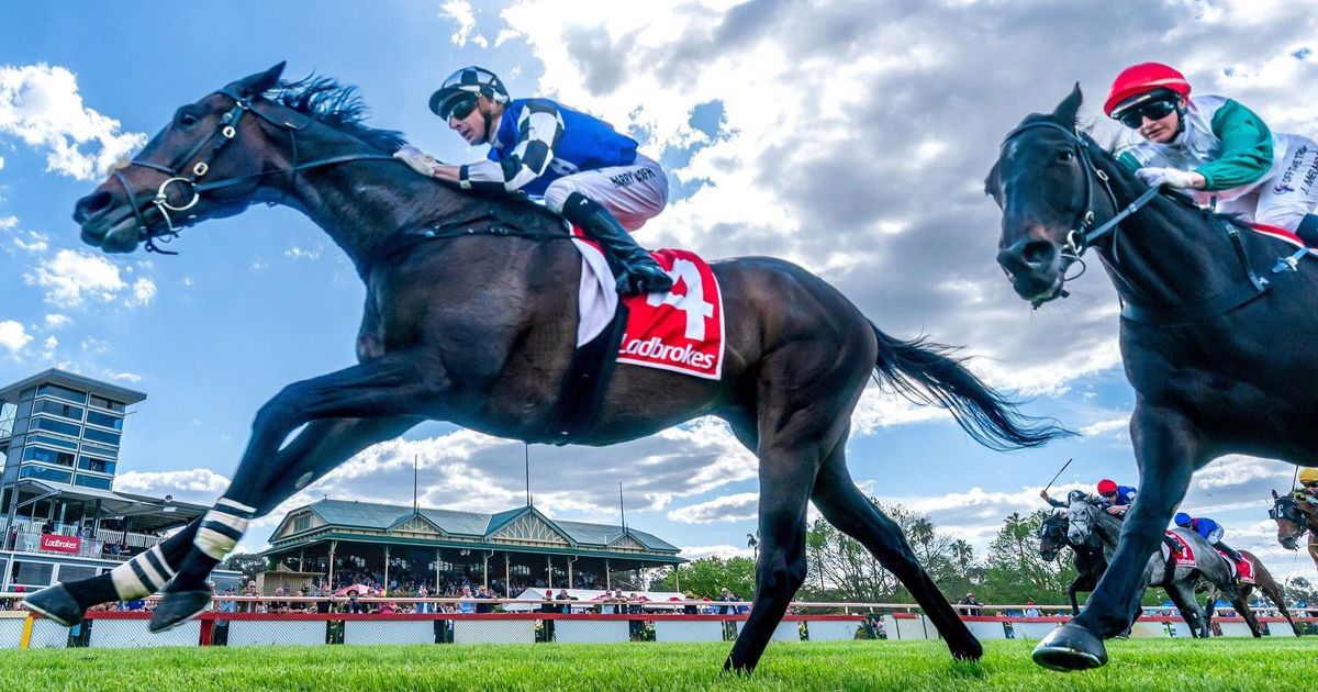 Bendigo Racecourse Upgrade