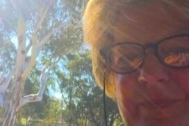 Ascot artist Lyn Cole painter and ceramicist