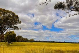 Bendigo Jobs Precinct Rezoning
