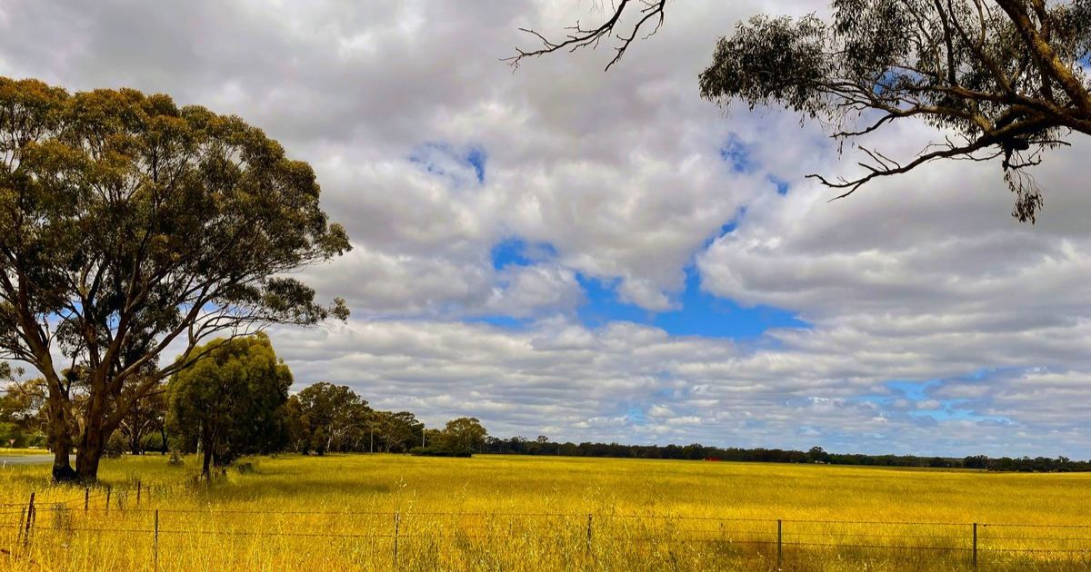 Bendigo Jobs Precinct Rezoning