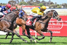 Scorpion Bay maiden win