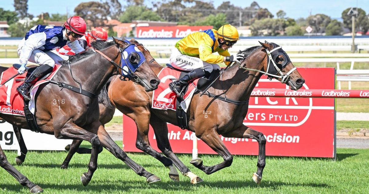 Scorpion Bay maiden win