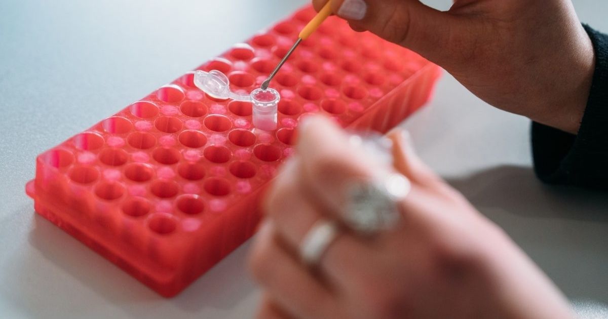 Pill testing results Victoria